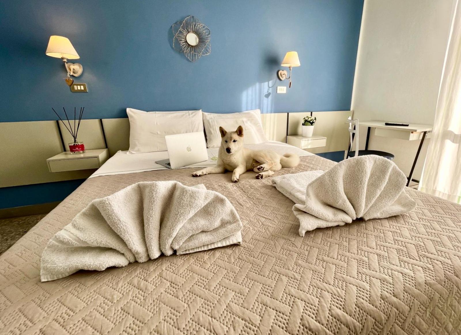 Hotel Alfa Anche In All Inclusive Rimini Eksteriør bilde