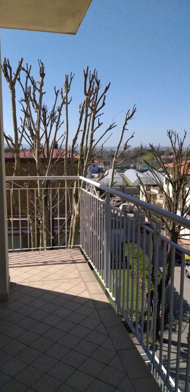 Hotel Alfa Anche In All Inclusive Rimini Eksteriør bilde